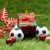 Top 28+ Best Gifts For Soccer Players That Will Brighten Their Heart 